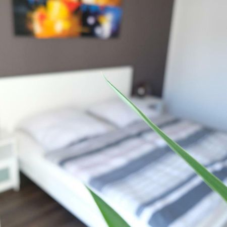 Apartment Von Betzenstein マルククレーベルク エクステリア 写真